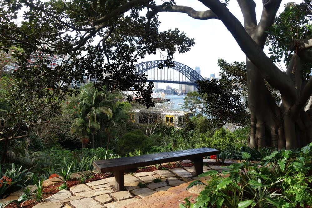 Wendys Secret Garden - cool place to visit in Sydney for the view