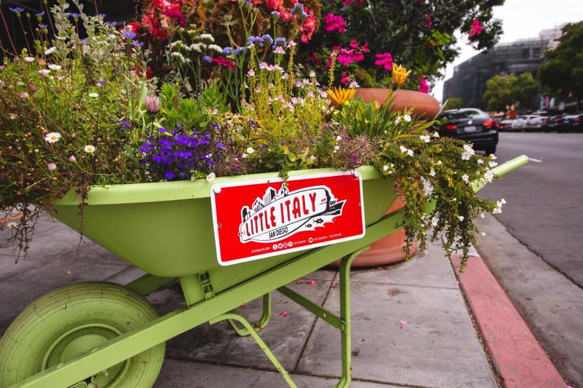 flowers in a wheelbarrow at little italy, san diego