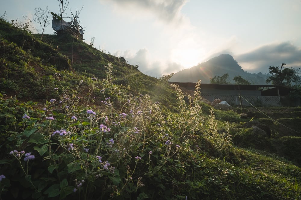 vietnam sunset worldpackers review