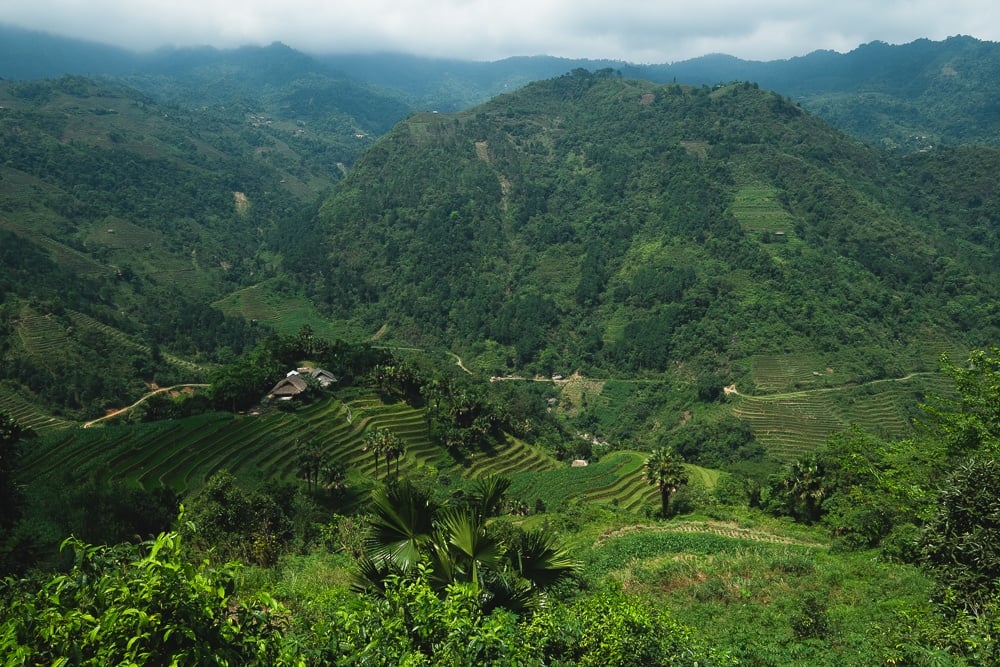 vietnam mountains and homestays