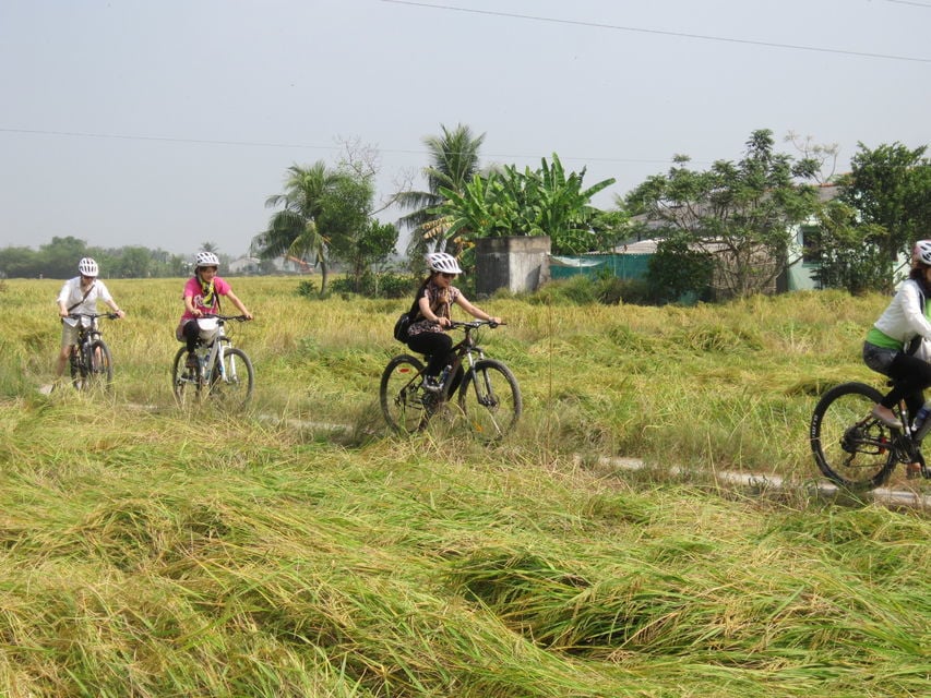 Countryside Half–Day Bike Tour