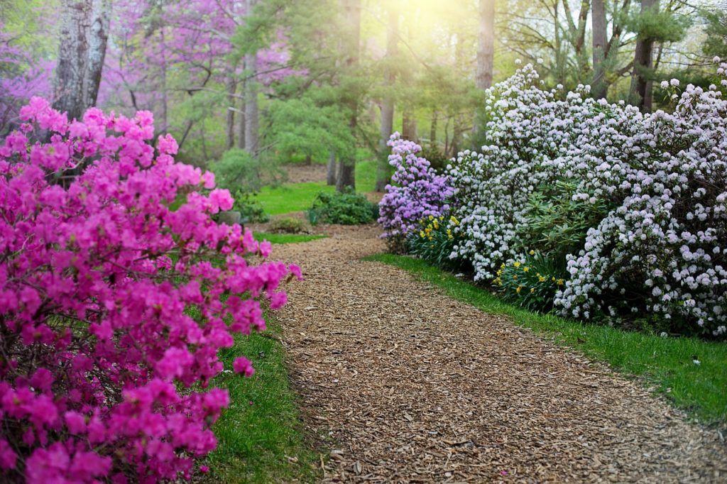 Crystal Springs Rhododendron Garden