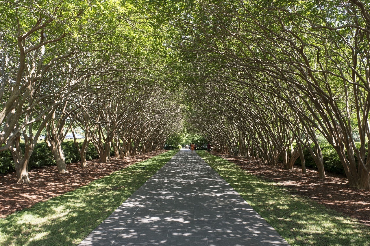 Dallas Arboretum