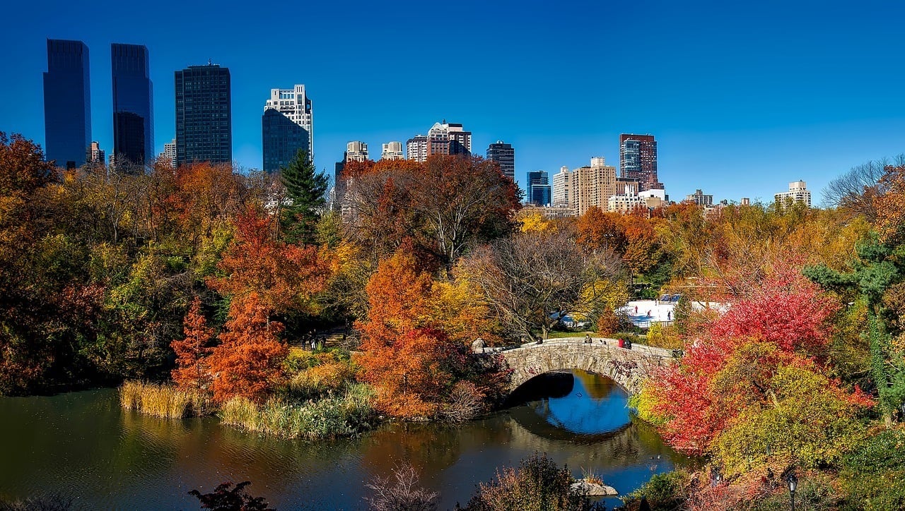 Fall in New York