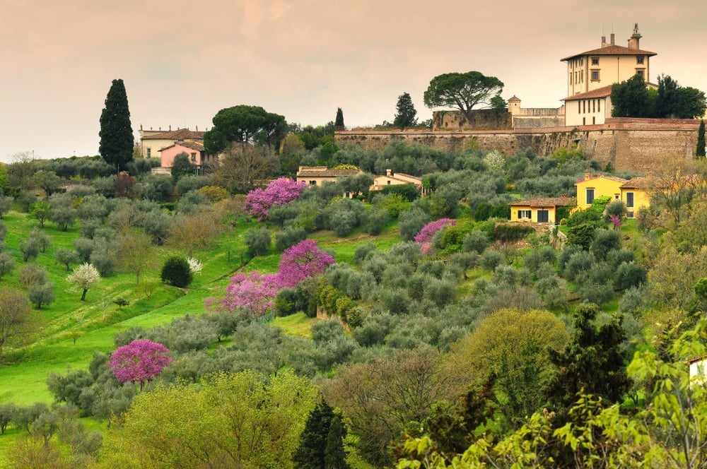 Forte di Belvedere