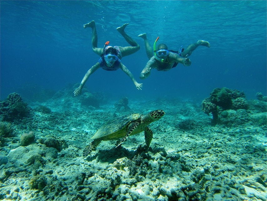 Full-Day Gili Island Snorkeling Day Trip from Lambok