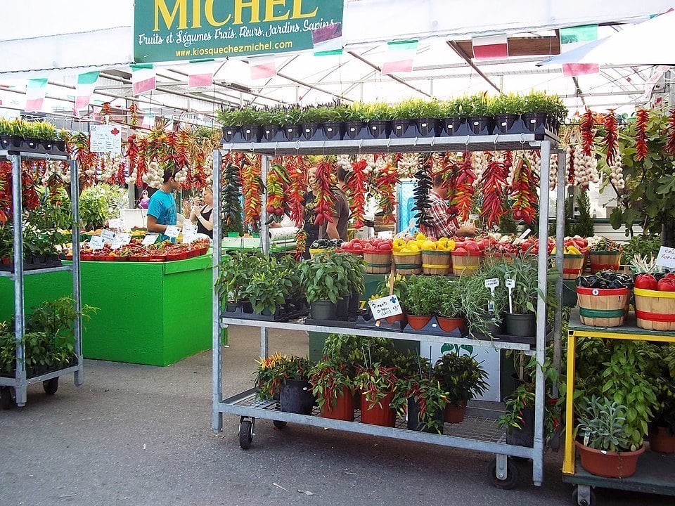 Jean Talon Market Montreal