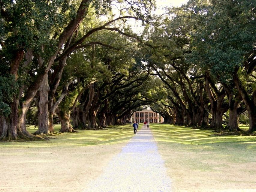 Louisiana Plantation Half-Day Tour