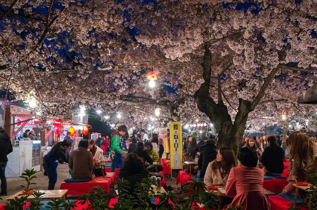 Maruyama Park, Kyoto