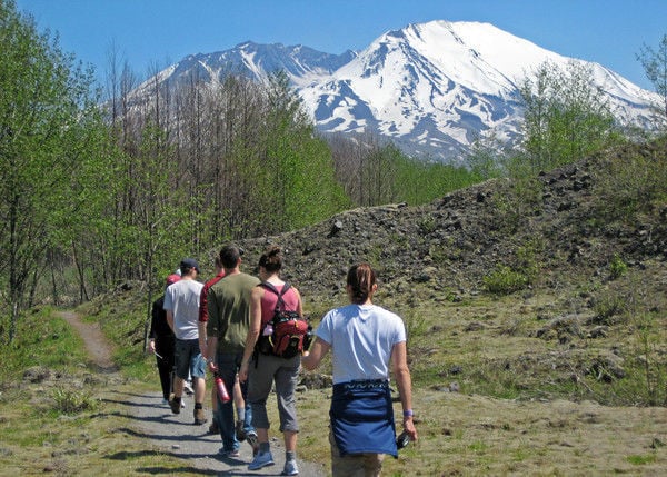 Mount St. Helen's Full-Day Tour From Portland