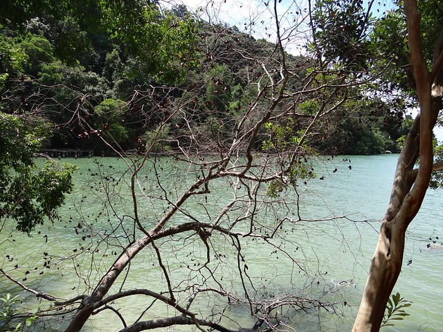 National Park-Penang
