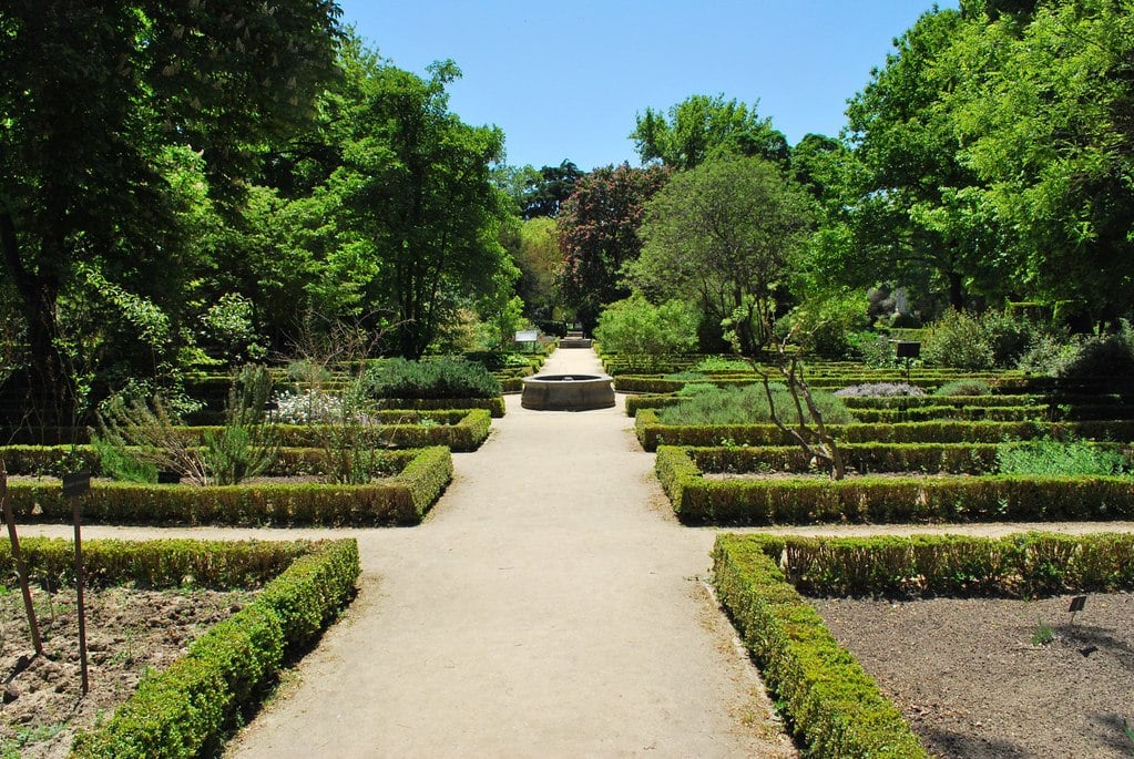 Real Jardin Botanico, Madrid