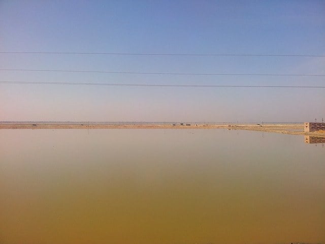 Sambhar Lake jaipur