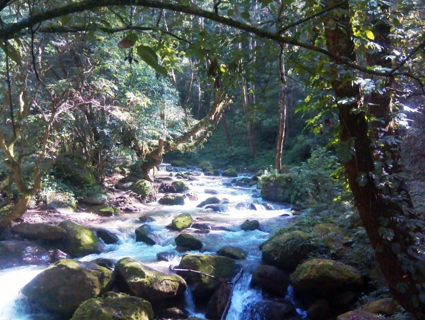 Shivapuri Nagarjun National Park