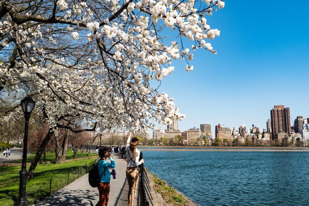 Spring in New York (Best NY hostels)