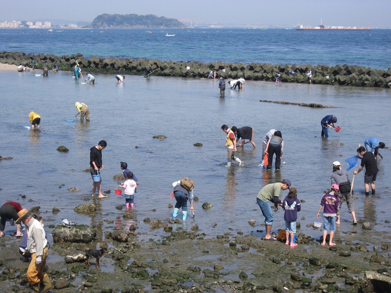 Tokyo Family Traveller