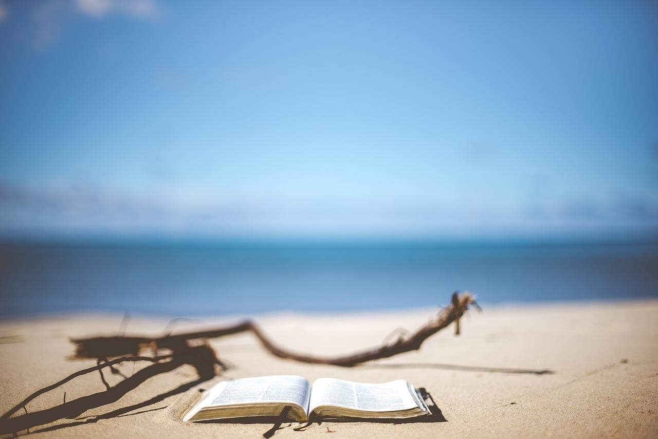 Reading a book at the beach is a free Sunshine Coast activity