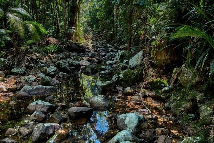 Repentance Creek near Minyon Falls