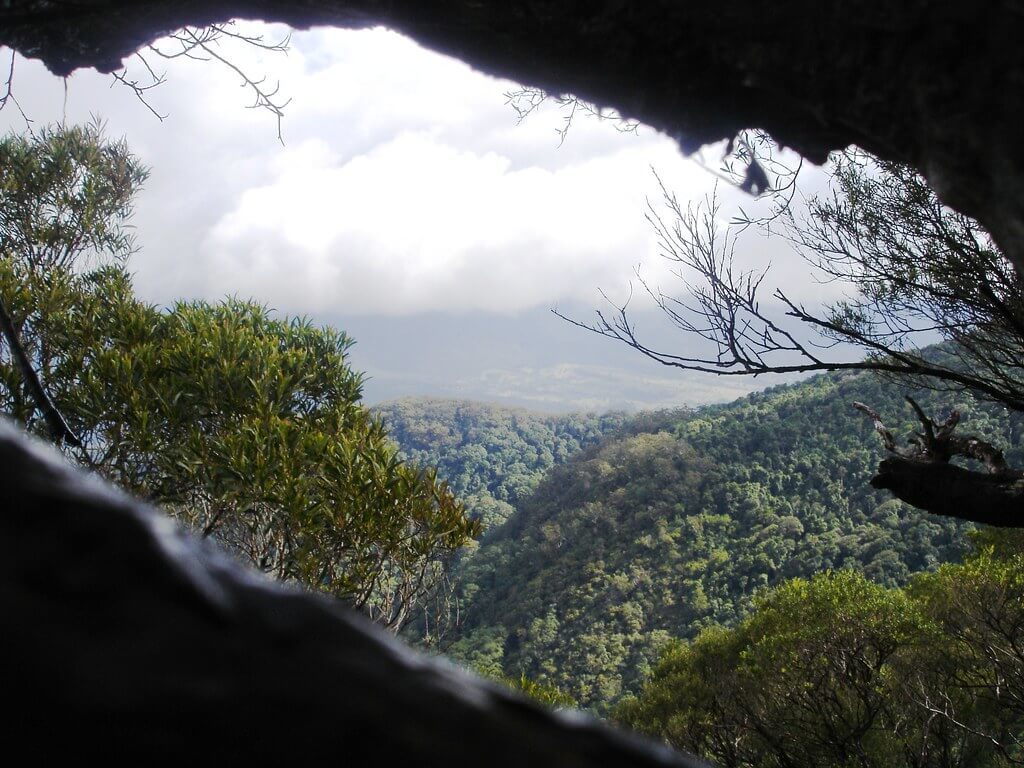 The view of Wollumbin National Park from Mount Warning