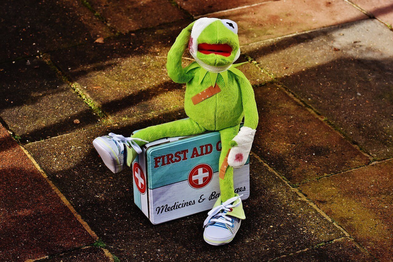 Kermit with his first aid kit packing