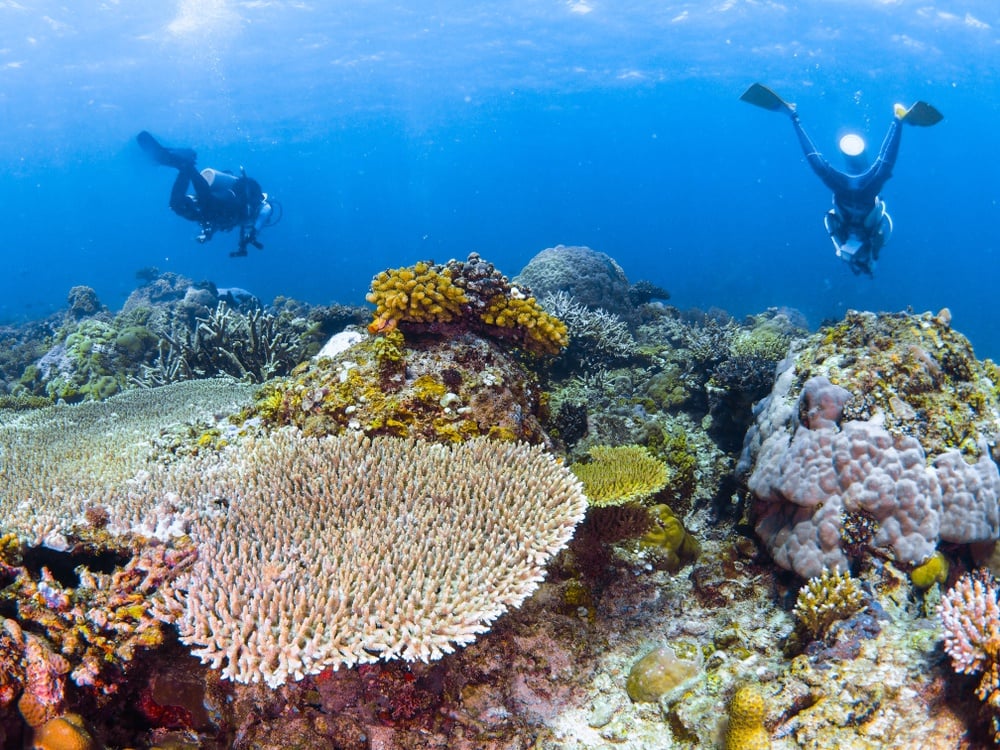 Coral Garden site while diving in Eilat