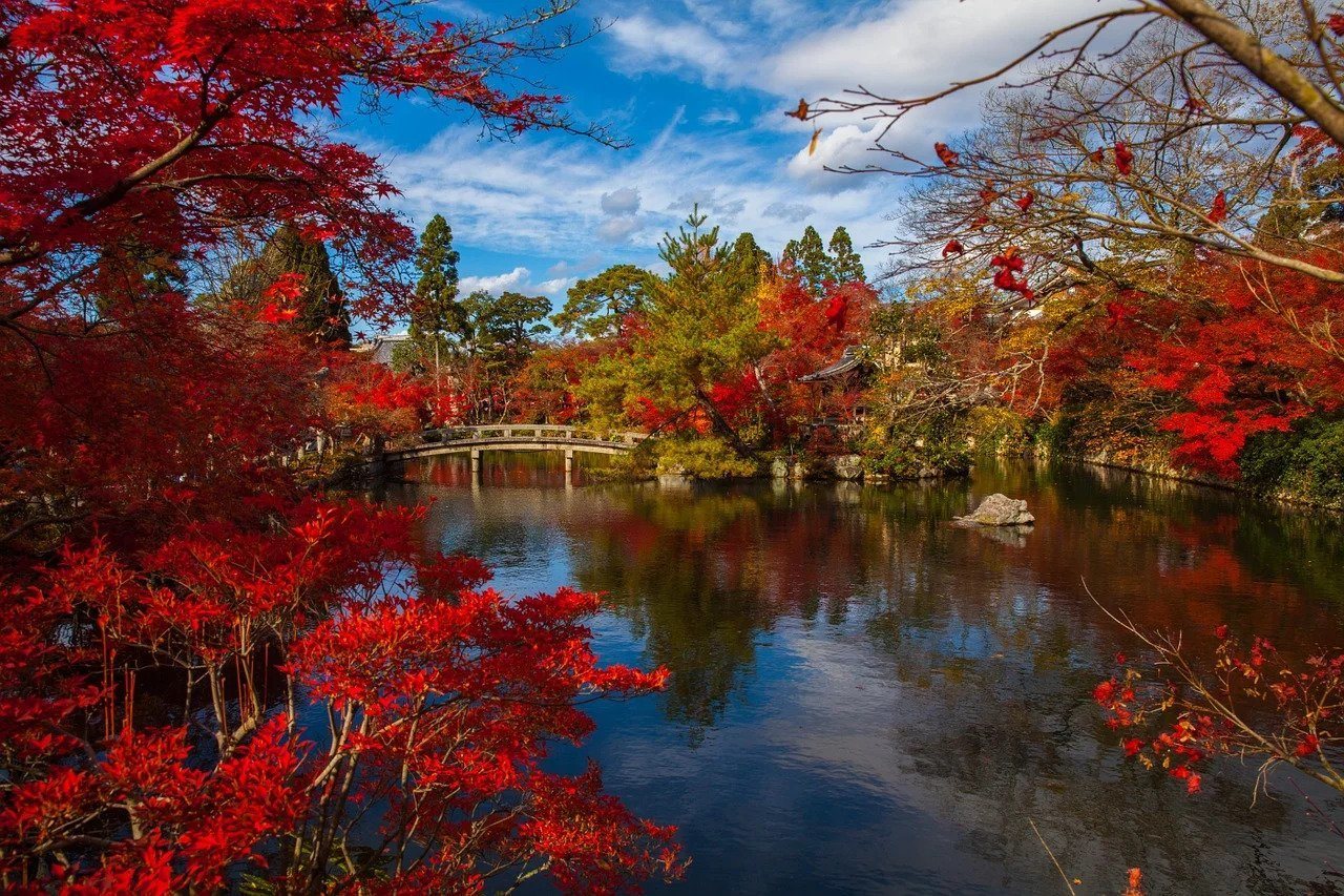 A safe Japan looking very pretty with autumn leaves