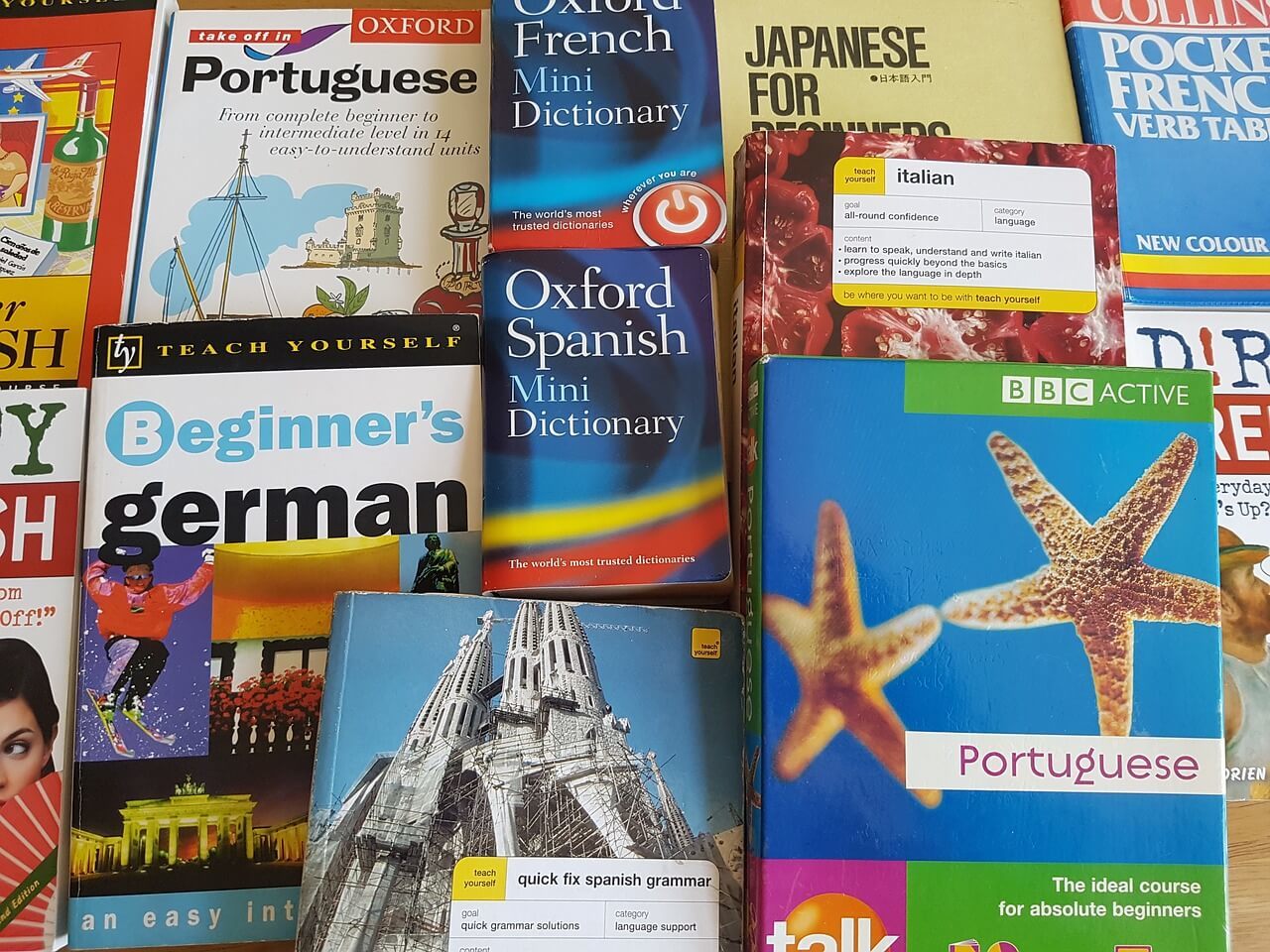 Books are awesome but not necessarily the best language learning technique for a traveller