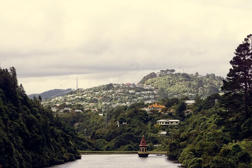 The view from Zealandia