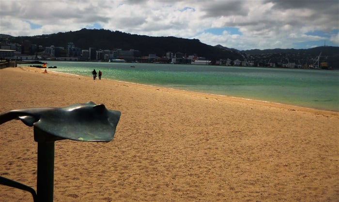 A windy Oriental Bay