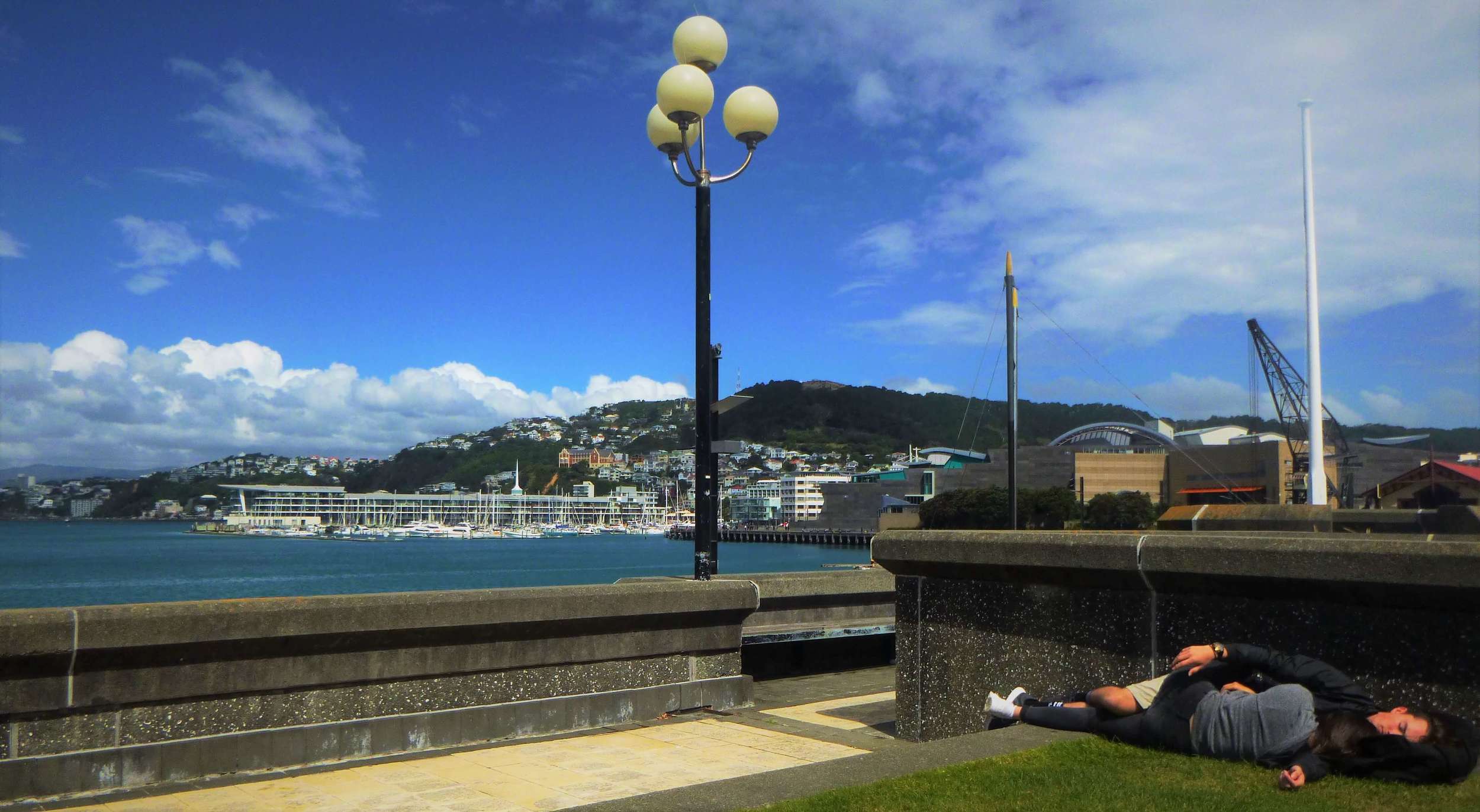 Couple sleeping at Wellington waterfont