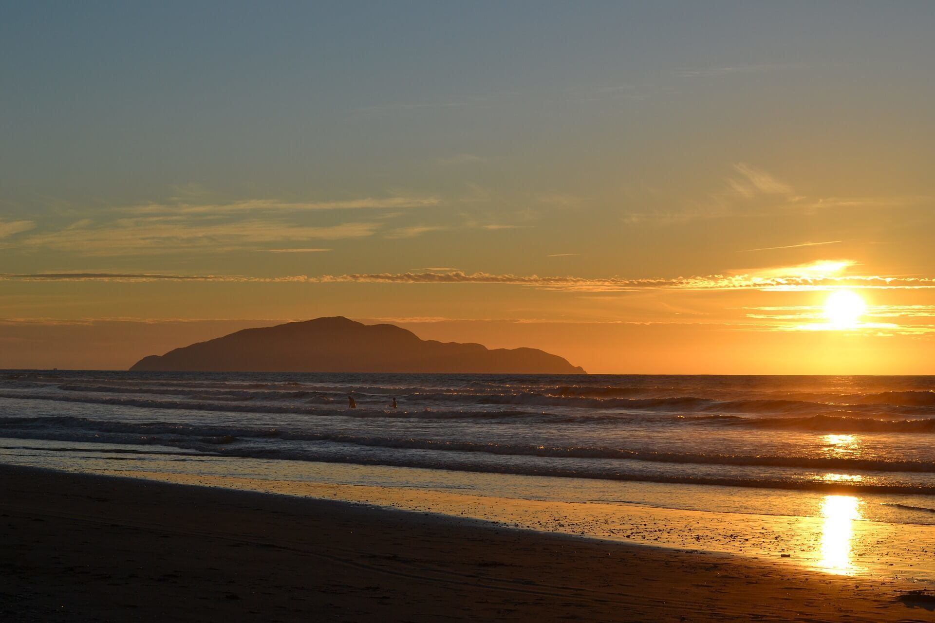 Kapiti Island is a beautiful day trip from Wellington