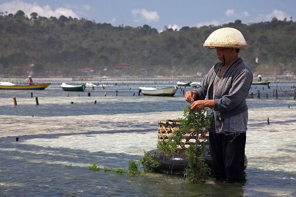 lembongan island traveller