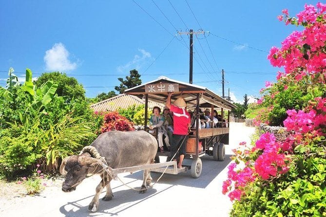 3 Island Day-Trip From Okinawa