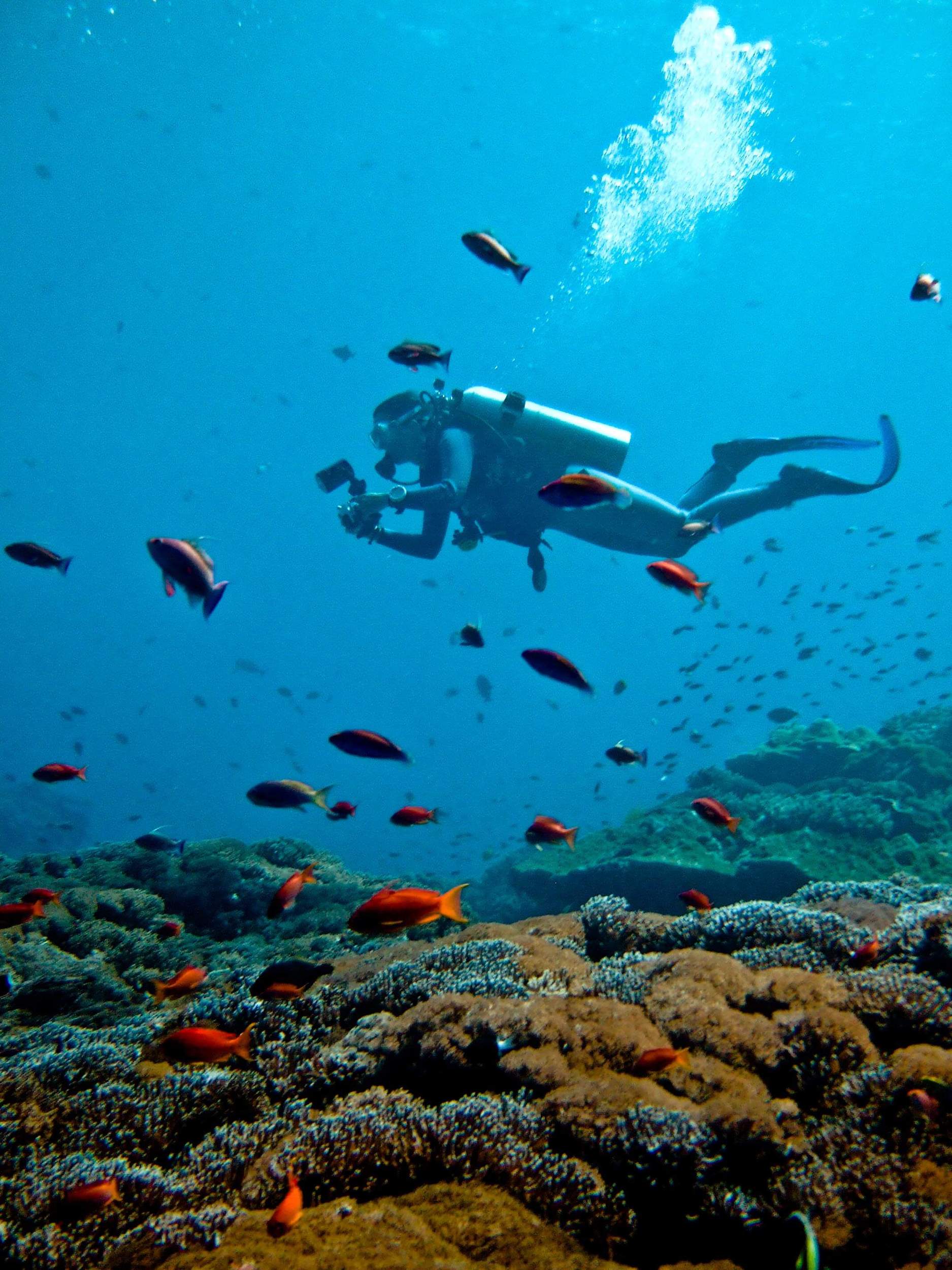 diving in bali for the first time