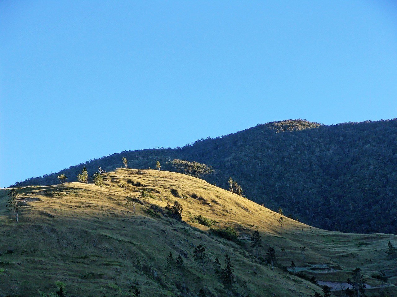 Blue Mountains