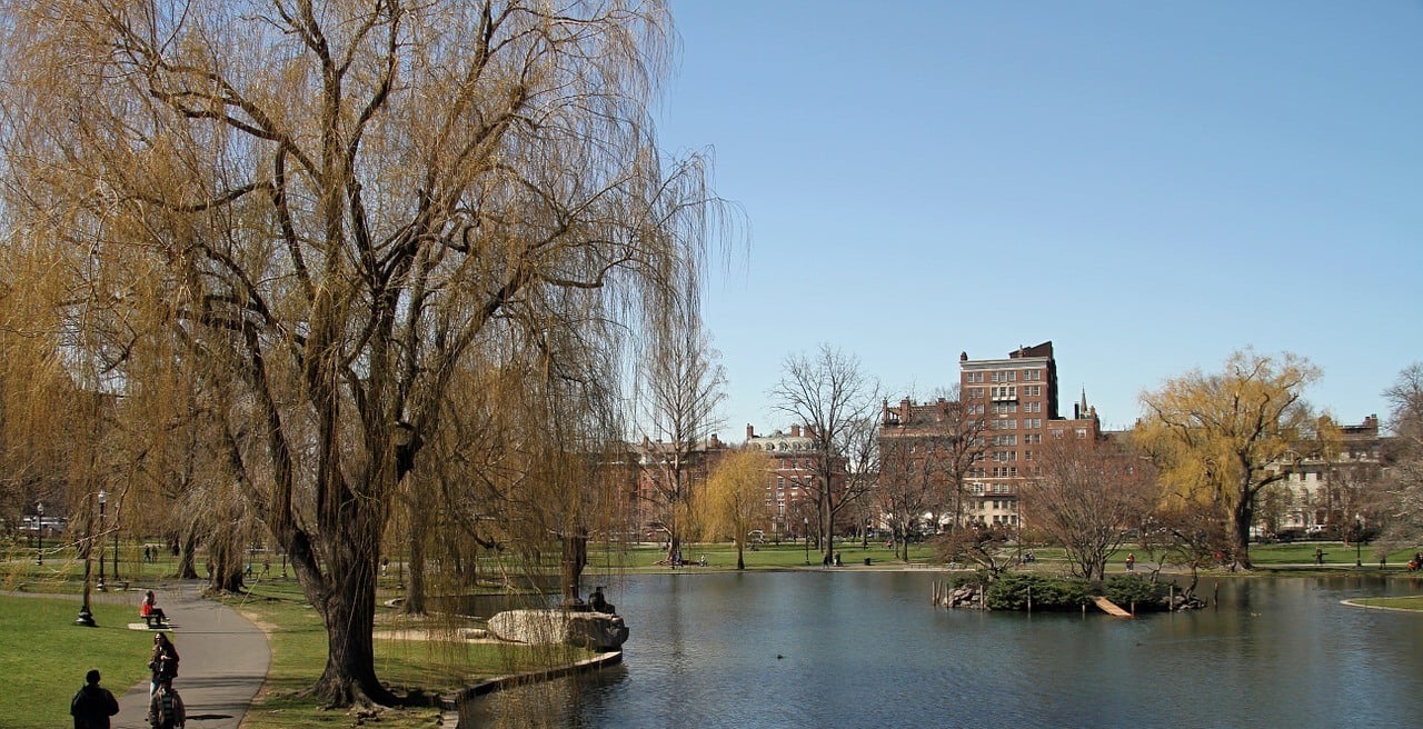 Relax at The Boston Public Garden and Boston Common