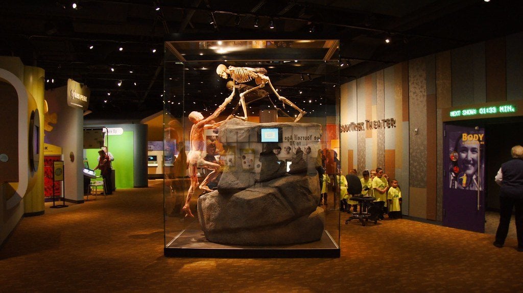 Denver Museum of Science and Nature