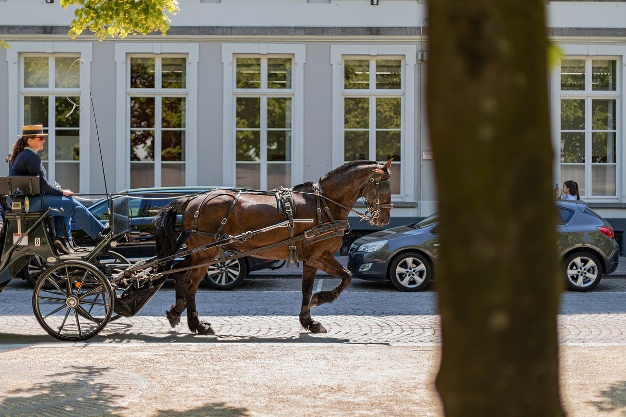 Experience the City from a Horse-drawn Carriage