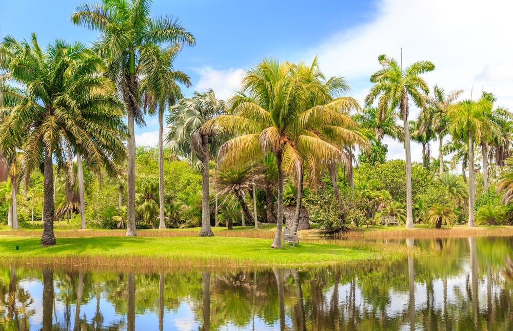 Fairchild Tropical Botanic Garden miami