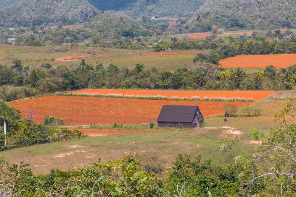 Finca Paraiso Agroecologica Vinales