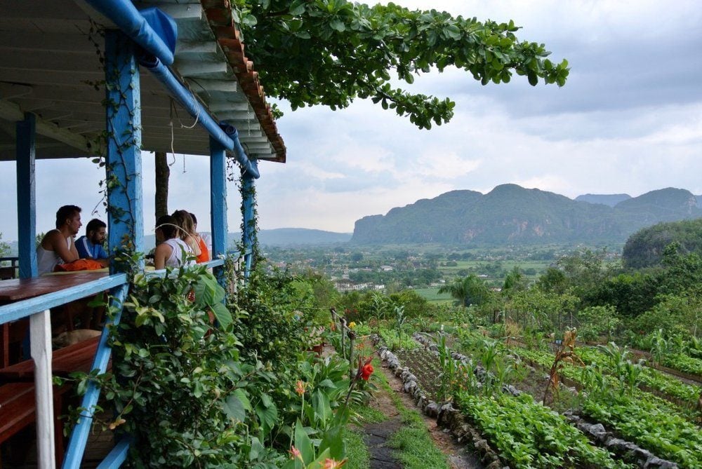 Finca Paraiso Agroecologica, Viñales