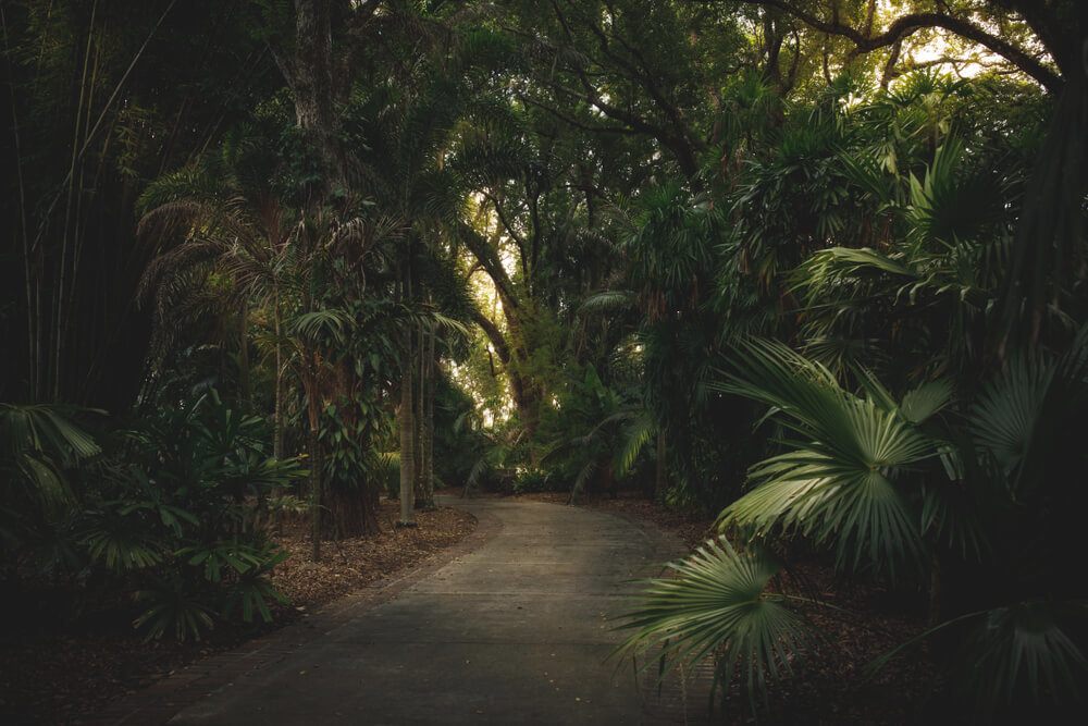 Harry P Leu Gardens, Orlando