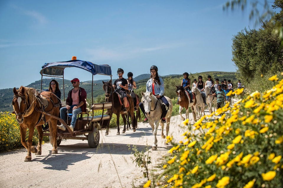 Horse Riding with Lunch in the Mountains near Heraklion