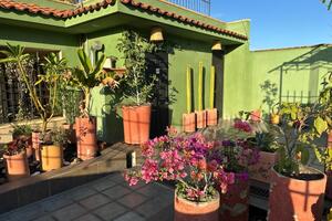 Hostal Nordes in Oaxaca, Mexico.