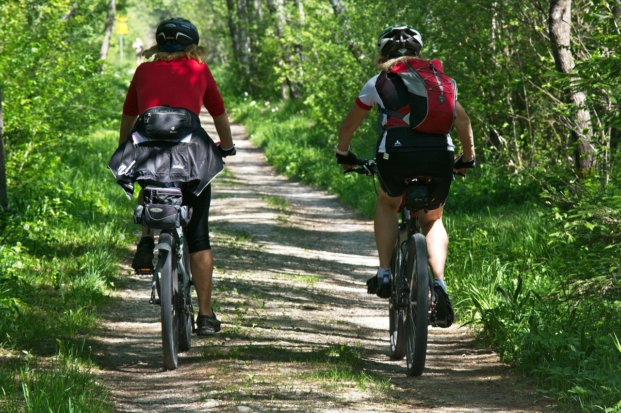 Mountain Biking through the Forest