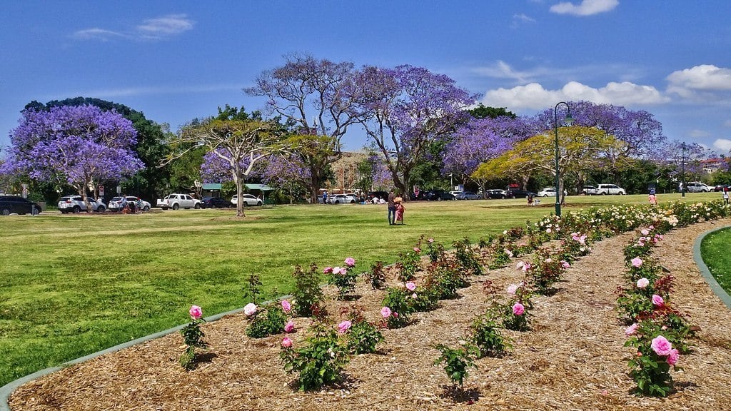 New Farm Park