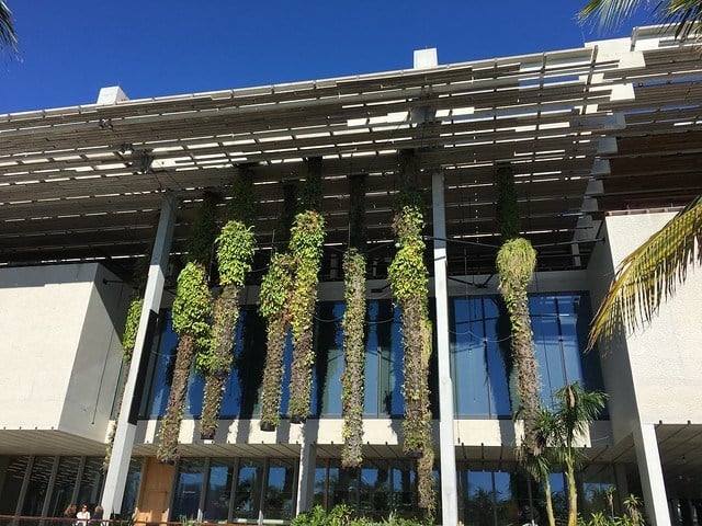 Perez Art Museum Miami 2