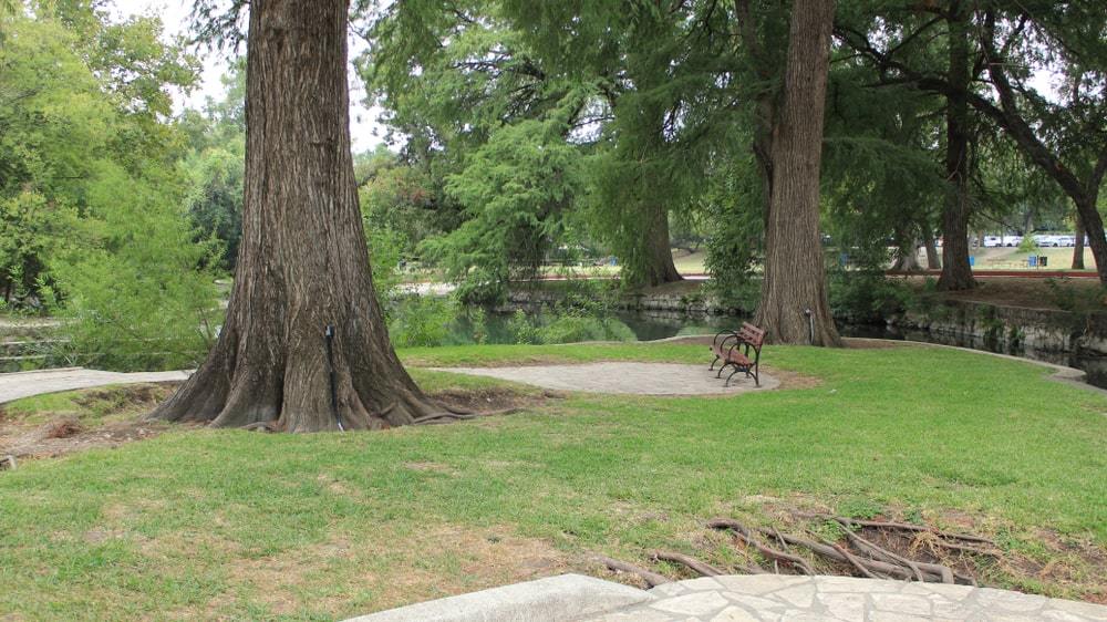 Brackenridge Park