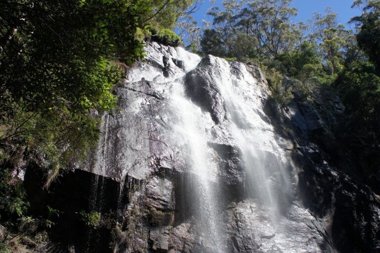 INSIDER GOLD COAST ITINERARY