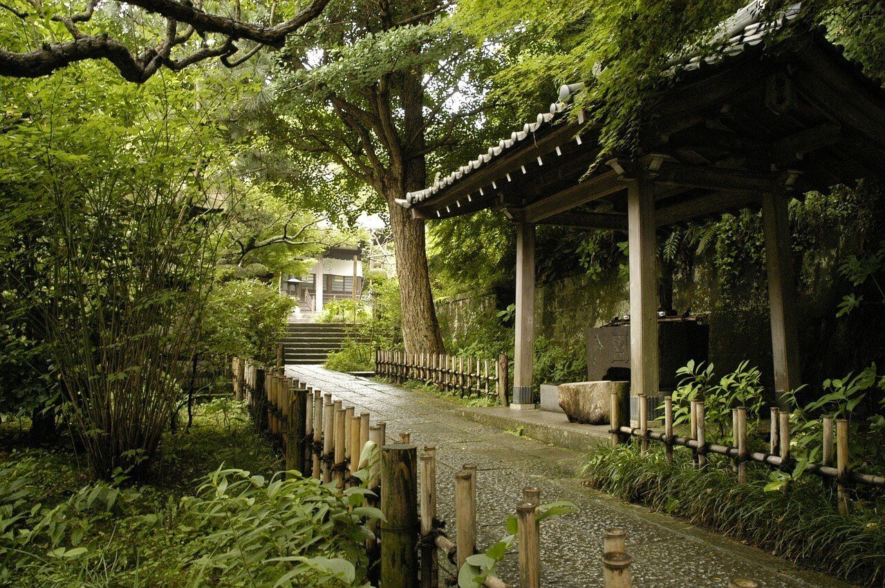 Temples Tour to Kamakura